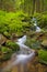 Stream mist in a forest