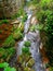 a stream in the mountains