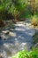 Stream Nahal Hashofet, Ramat Menashe Biosphere Reserve, Israel