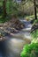 Stream Nahal Hashofet, Ramat Menashe Biosphere Reserve, Israel