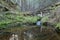 Stream in a natural untouched forest in sweden