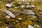 Stream Over Rocks Nature