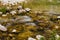 Stream Over Rocks Nature