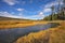 The stream in park Yellowstone