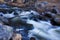 Stream in Pine Valley