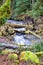 A Stream through the rain forest