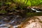 Stream in Ricketts Glen State Park