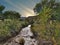 Stream Beside the Rio Chama near Abiquiu, New Mexico