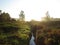 Stream River in Beautiful Nature Wild Landscape Sunrise with Foggy Mist