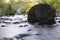 Stream with rocks