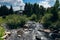 Stream with rocks, city of Breckenridge Colorado USA