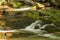 Stream, Rocks and Moss