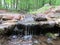 Stream at Roosevelt Park in Edison, NJ, USA. Ð“.