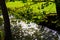 Stream running in blazing light with 2 trees as a silhouette and green meadow