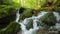 Stream running fast in summer green forest. Small