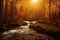 a stream running through a forest filled with trees and rocks under a bright sunbeaming sky with beams of light