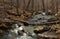 Stream Running Through Forrest in Arkansas