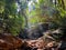 a stream running through a lush green jungle filled with rocks and trees