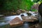 Stream rushing through the forest