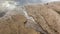 A stream in the sand from a stream of rain flows into a lake