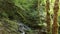 Stream in the sil canyon, natural reserve and world heritage site in the ribeira sacra, ourense, galicia