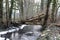 Stream, a small river in the middle of the woods in winter