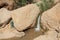 Stream & Small Waterfall in Ein Gedi Oasis