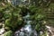 A stream with a small waterfall surrounded with lush green vegetation in a forest in Japan, near Kyoto. On the right a stone