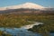 Stream And Snowcovered Mount Etna