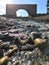 Stream with Stone arch. stone arch rocky Creek shining in the sun