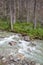 Stream Studeny potok in High Tatras, Slovakia