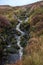 Stream Tumbling Through Heather in a Turf Bog