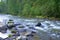 A stream of a turbulent river swiftly flowing through the exaggerated forest, skirting stone boulders on its way