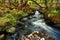 Stream under trees in Lillernay national park