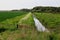 Stream, Upton Marsh, Upton Great Broad, Norfolk Broads, Upton, near Acle, Norfolk, England, UK