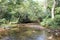 A stream among the vegetation.