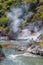 Stream at Wai-O-Tapu in New Zealand