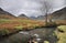 Stream, Wasdale, Cumbria