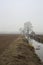 Stream of water that leads to a group of trees and a small bridge on a foggy day in the italian countryside