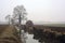 Stream of water that leads to a group of trees and a small bridge on a foggy day in the italian countryside