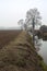 Stream of water that leads to a group of trees and a small bridge on a foggy day in the italian countryside