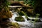 Stream of Water, With Mossy Rocks, Fauna and Flora, River Stream