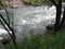 A stream, of water in a mountain river rages in the forest among the rocks in the Altai