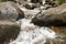 Stream on way to Hoverla, the highest Ukrainian mountain, in cloudy summer day