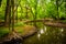 Stream at Wildwood Park, in Harrisburg, Pennsylvania.