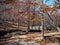 Stream in William B. Umstead State Park