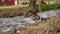 A Stream With Wispy Water Flowing