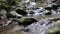 A stream of wonderful freshwater rapids, a river flows. Wild mountain river close-up plentiful clean stream. Static shot of stone