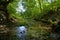 Stream in a wood shadow