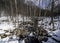 A stream in the woods in Frick Park in Pittsburgh, Pennsylvania